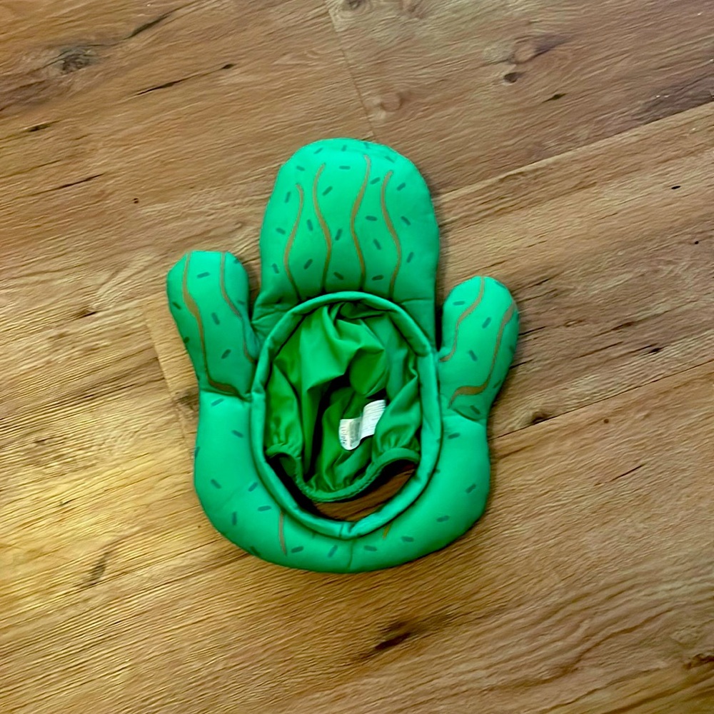 NWOT cactus costume hat. This has never been worn.